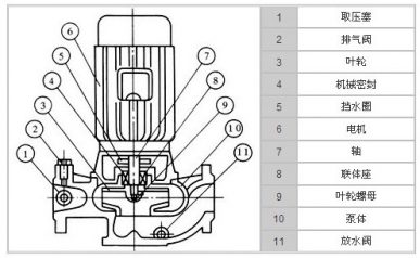 循環(huán)泵結構圖