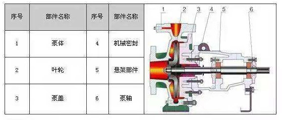 循環(huán)泵的結構圖片